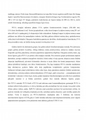 www.speros.lt